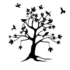 tree and birds silhouette