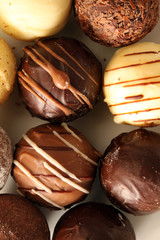 Chocolate Fantasy