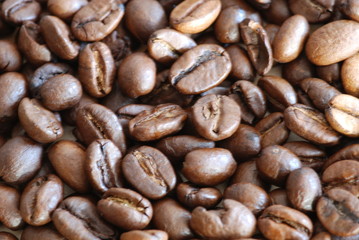 Kaffeebohnen