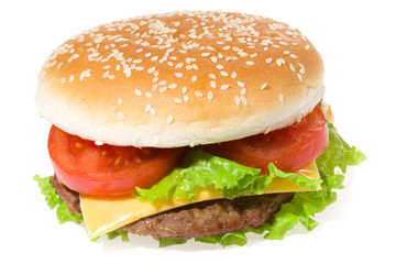 hamburger with vegetables