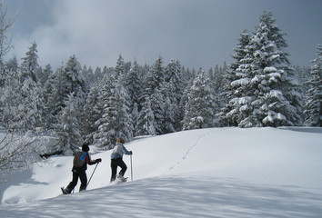 Raquettes à neige au Glières 2