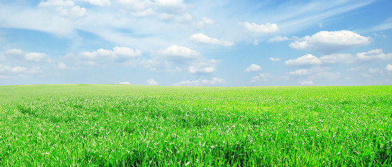 green field