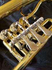 Obraz premium Flügelhorn Detail 04