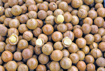 Macadamia nuts