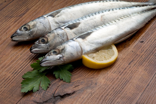 mackerel on wood close up