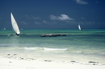 Turquoise Water, Zanzibar
