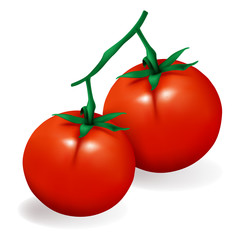Tomato