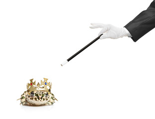 Magician holding a magic wand and a frog isolated on white