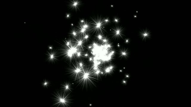Dandelion blown away by the wind,or like as sparkling stars