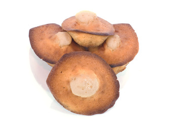 madelaines présentées sur fond blanc