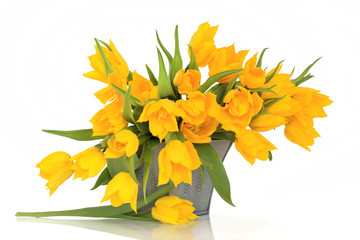 Yellow Tulip Flowers