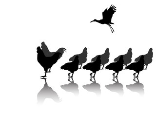 Hahn mit Hühnern und Storch als Silhouette