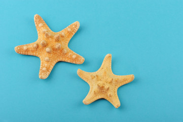 Fototapeta na wymiar Two starfishes on a blue background