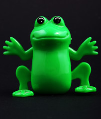 frog #1