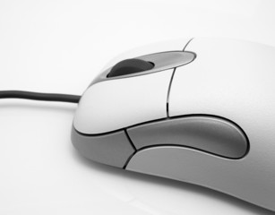Computer Mouse - Close-up