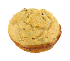 Single chocolate chip muffin