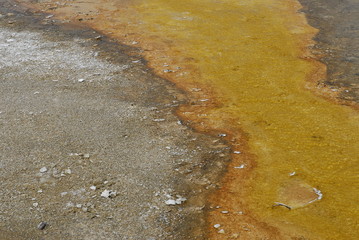 Geyser
