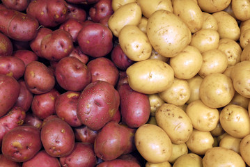 red and white potatoes