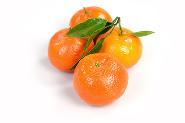 Quattro clementine