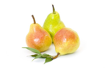 fresh pears