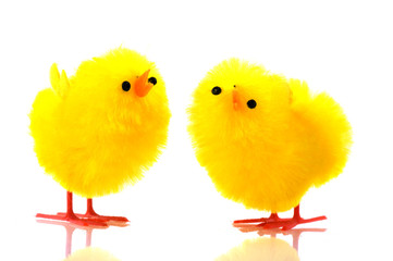 Easter chicks