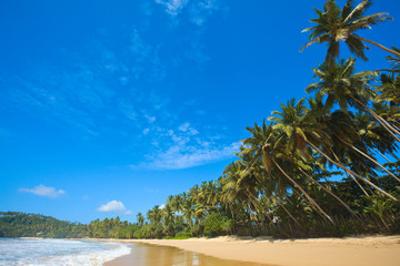 Fototapeta na wymiar Przepiękna plaża. Sri Lanka