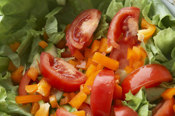 Fresh vegetable salad