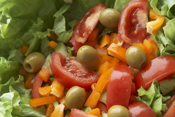 Fresh vegetable salad