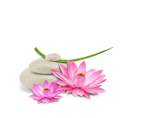 Fleurs de lotus, Galets et brin d'herbe