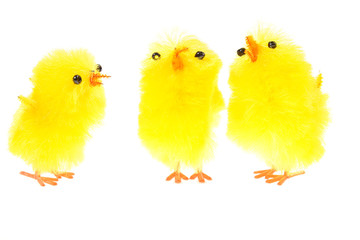 yellow chicklings