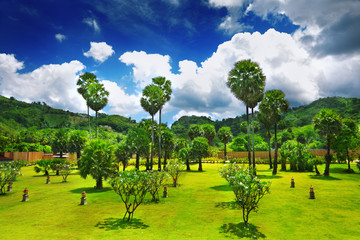 Fototapety na wymiar - Fototapeta24.pl