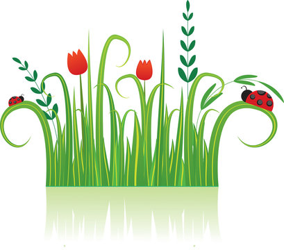 Background with flowers and Ladybird. Vector illustration