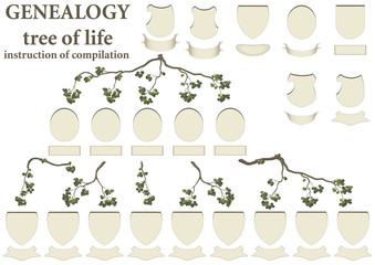 Naklejka premium tree of life - genealogy