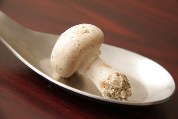 champignons de paris