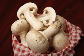 champignons de paris