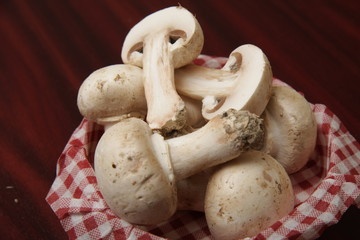 champignons de paris