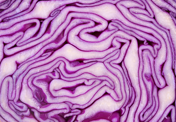 Obraz premium Cut red cabbage close-up