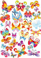 different multicolored butterflies - vector