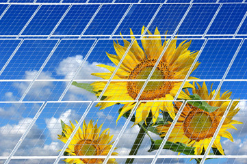 Solarzellen 16