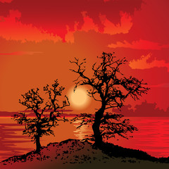 Trees at sunset. Vector art-illustration.