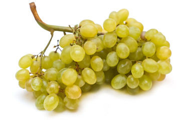 Grape isolated