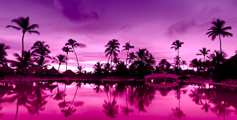 Fototapeta na wymiar Panorama Różowy i czerwony zachód słońca nad morzem plaży z palmami