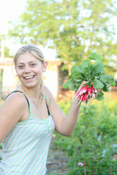 woman is picking   radish in summer garden
