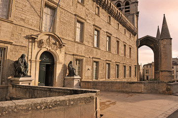 Fototapeta premium faculté de médecine, Montpellier
