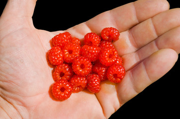 Handful of wild raspberry 3