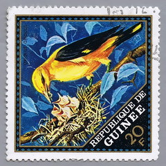 Postage stamp shows image of birds, series, circa 1976