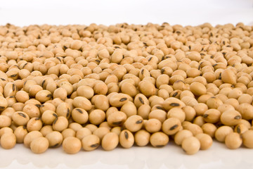 Sementes de soja transgenica. Data: 18/02/2010