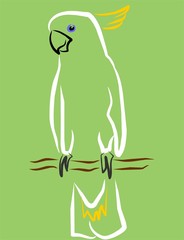cacatua © nuriagdb
