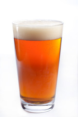 Beer glass against white background