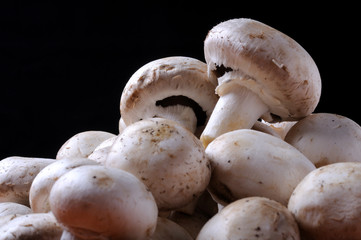 Fresh mushrooms